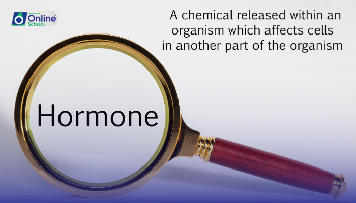 Lesson 10: Feedback Mechanism of Hormones